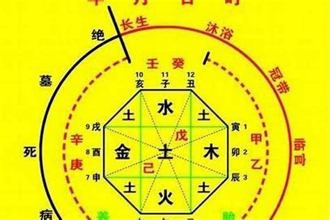 五行測驗|生辰八字算命、五行喜用神查詢（免費測算）